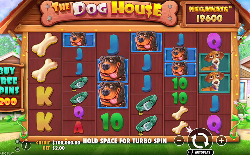 La slot The Dog House con funzionalità bonus buy.
